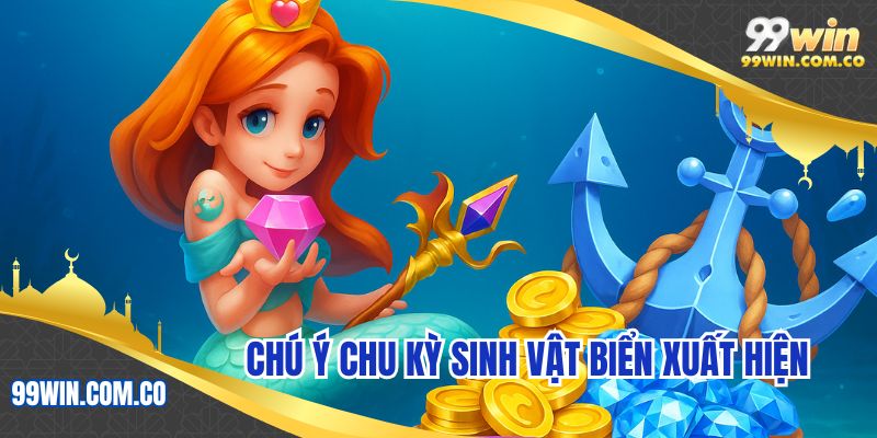 Chú ý chu kỳ sinh vật biển xuất hiện