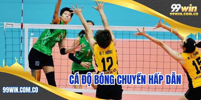 Cá độ bóng chuyền hấp dẫn